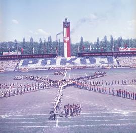 Pokaz gimnastyczny