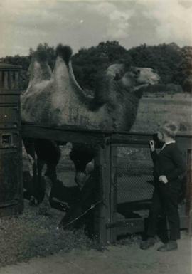 Mieczysław Piotrowski w ZOO