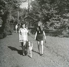 Kobiety z psem w parku