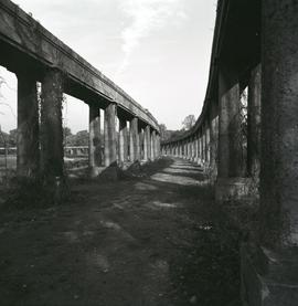 Pergola we Wrocławiu