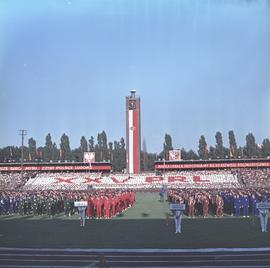 Drużyny sportowe z miast wojewódzkich na płycie Stadionu