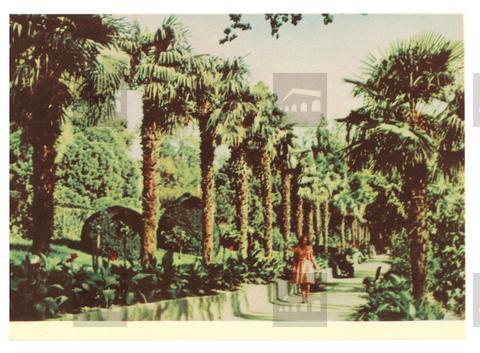 Original Obiekt cyfrowy not accessible