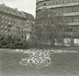 Dom Towarowy PDT i fragment ul. Świdnickiej we Wrocławiu