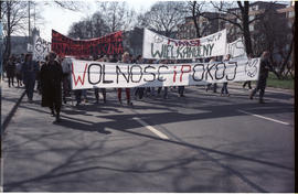 Protest Ruchu Wolność i Pokój