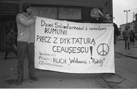 Dzień Solidarności z narodami Rumunii