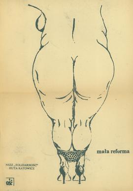 Mała reforma