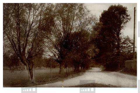 Original Obiekt cyfrowy not accessible