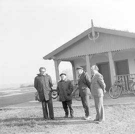 Sortowanie karpi