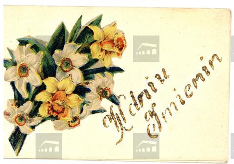 Original Obiekt cyfrowy not accessible