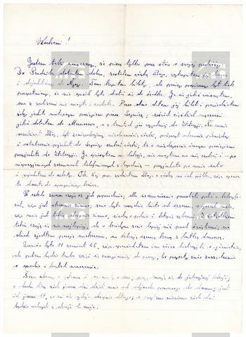 Original Obiekt cyfrowy not accessible