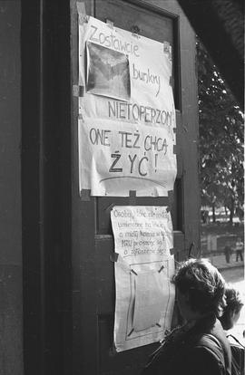 Głodówka WiP – Międzyrzecz